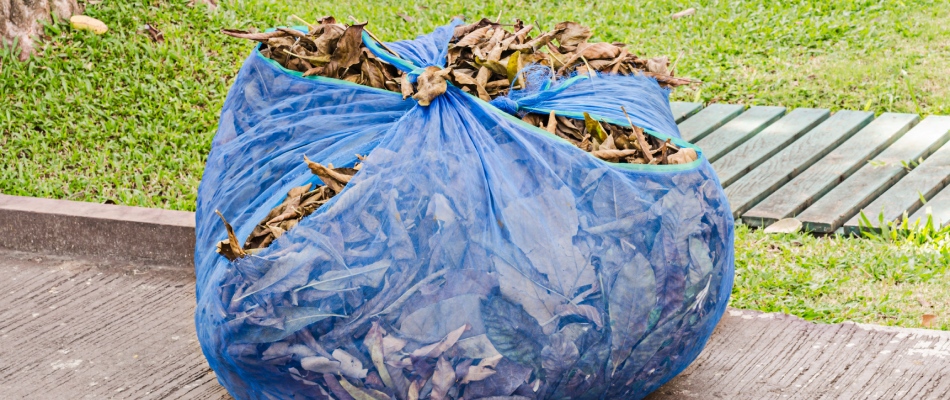 Fall leaf cleanup service in Mankato, MN.