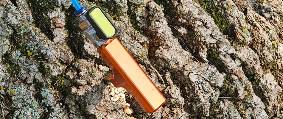 Technician applying emerald ash borer injection to an ash tree in St. Peter, MN.