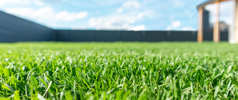 Lush, green, grub-free lawn maintained by Storm in Waseca, MN.