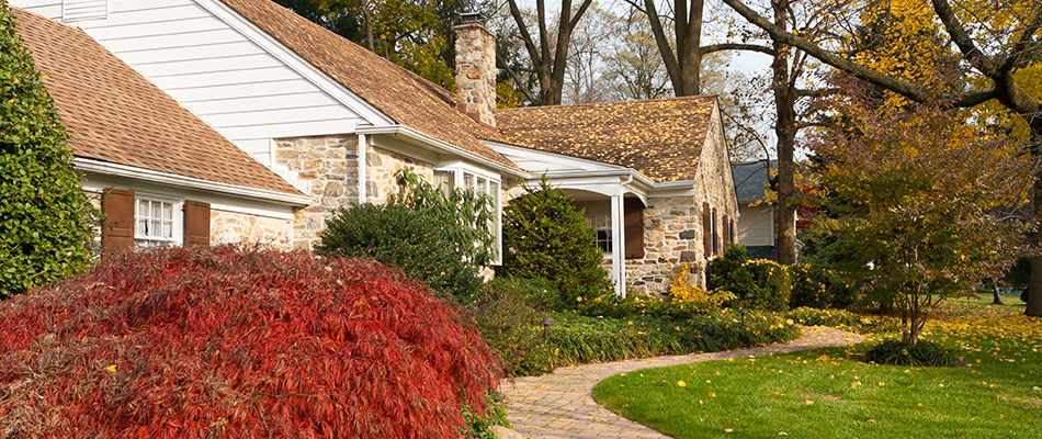 Leaves scattered across a residential lawn in North Mankato, MN during fall.