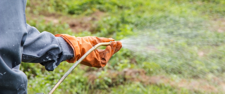 Professional applying lawn fertilizer in Mankato, MN.