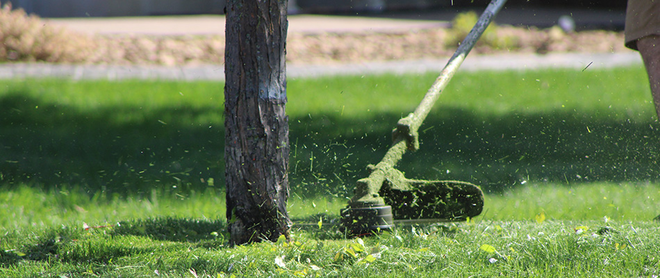 Professional trimming lawn edges in Mankato, MN.