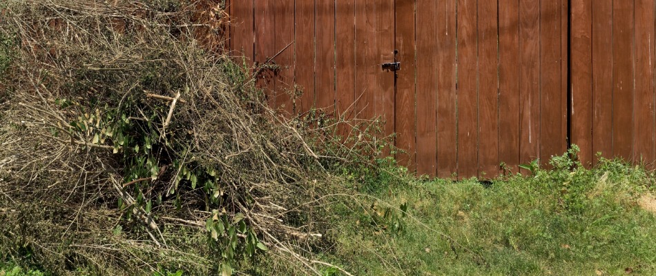 Twig debris pile for spring cleanup service in St. Peter, MN.
