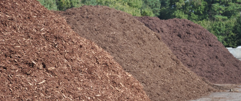 Variety of mulch types and colors installed in a landscape bed in Mankato, MN.