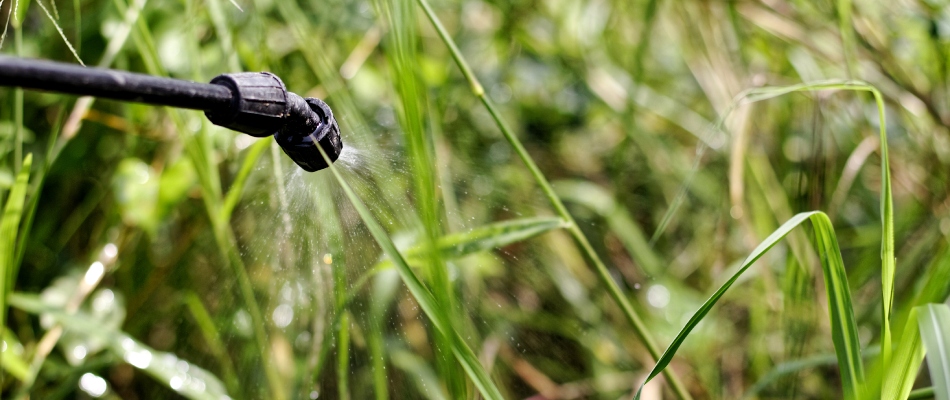 Technician applying weed control in Mankato, MN.