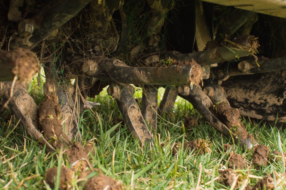 Lawn Aeration