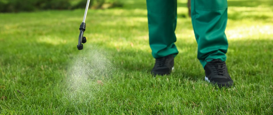 Fall Fertilization Minnesota