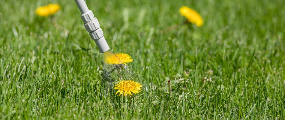 Weed Control Minnesota
